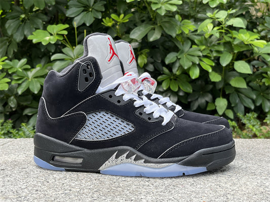 AIR JORDAN METALLIC 5s